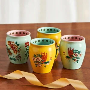 jaipur gardens kulhad gift box set of 4